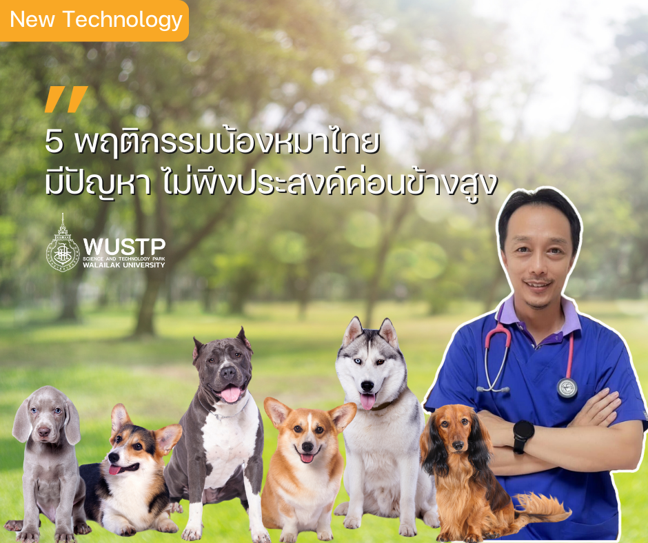 5 พฤติกรรมน้องหมาไทย มีปัญหาไม่พึงประสงค์ค่อนข้างสูง