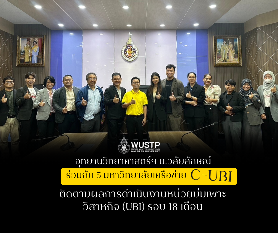 หน่วยบ่มเพาะวิสาหกิจในสถาบันอุดมศึกษา (UBI)