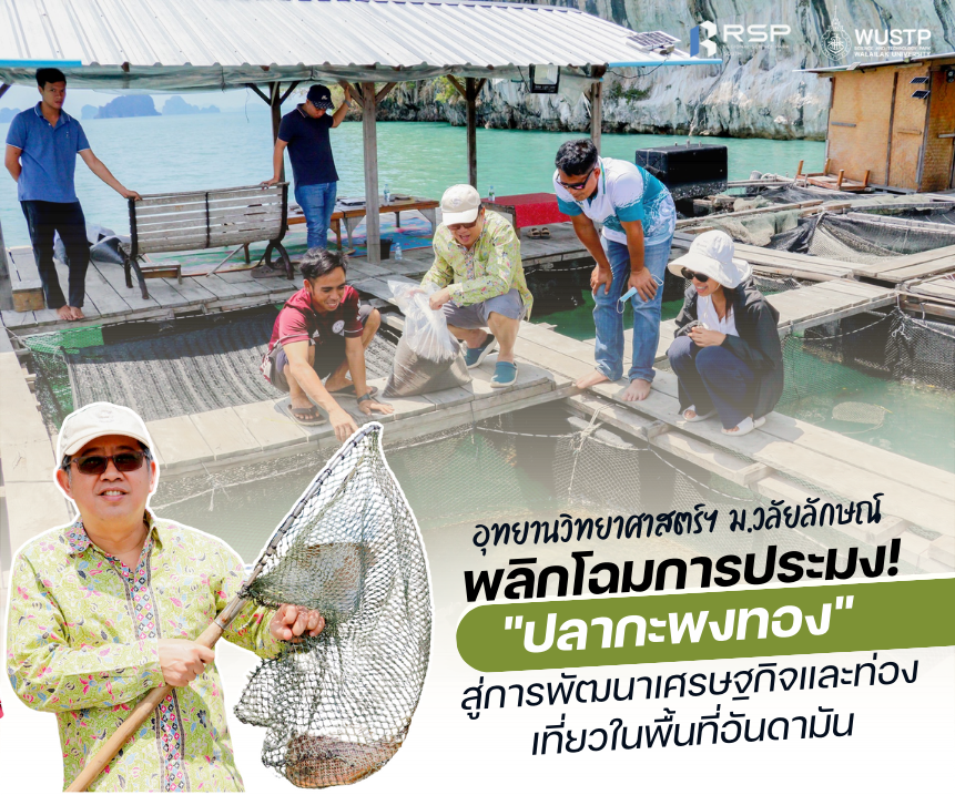 พลิกโฉมการประมง! "ปลากะพงทอง" สู่การพัฒนาเศรษฐกิจและท่องเที่ยวในพื้นที่อันดามัน